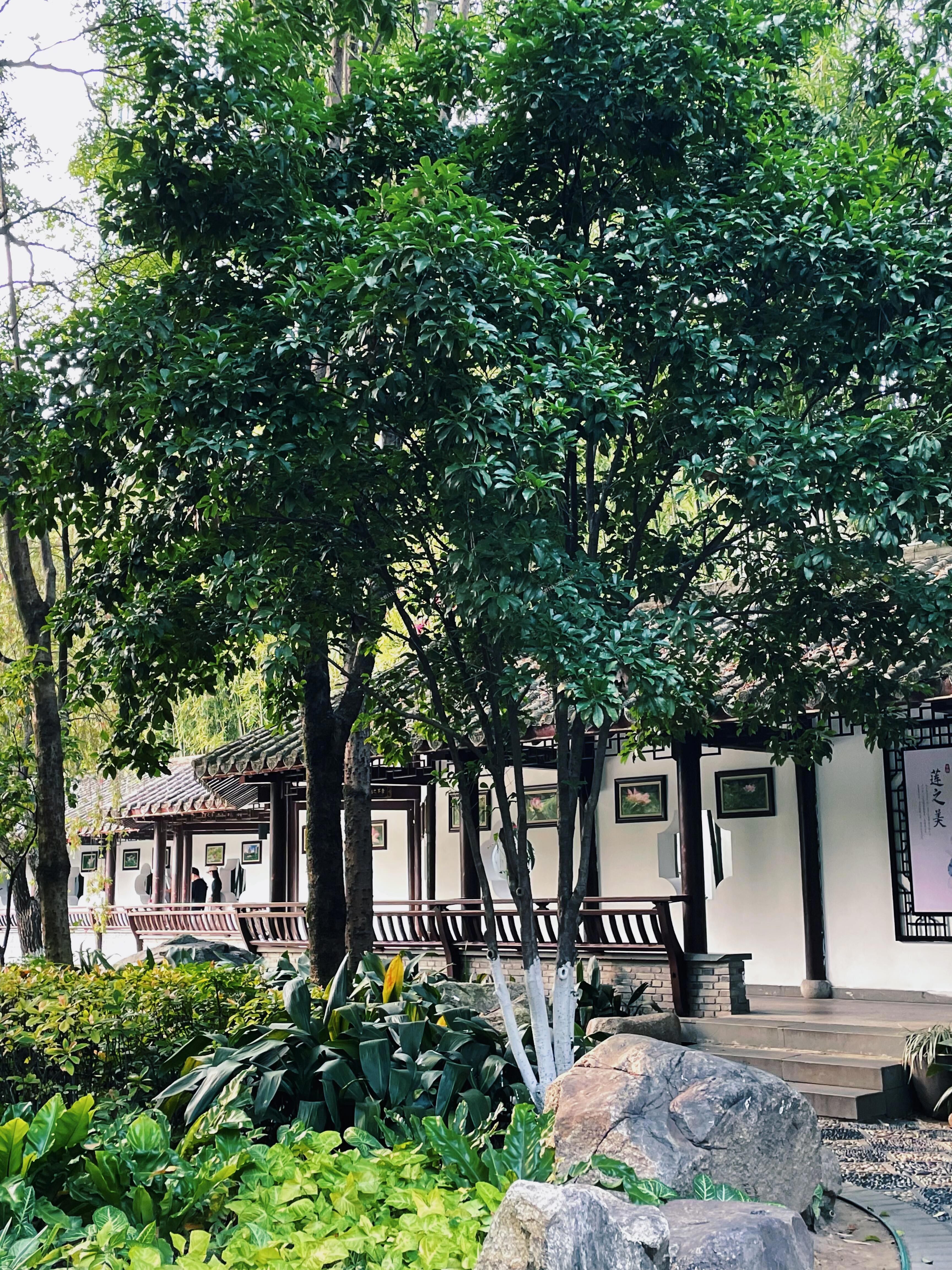 茶亭公園長(zhǎng)廊風(fēng)格融合