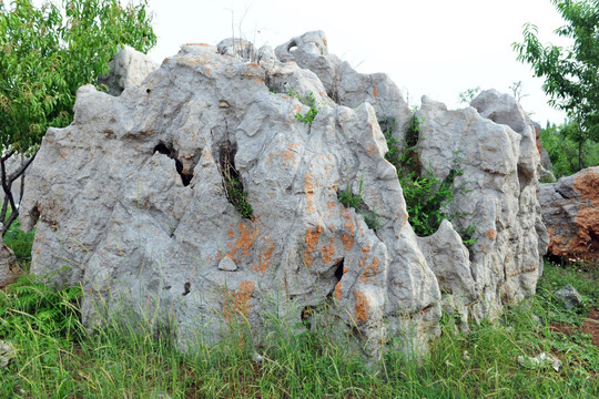 工程場(chǎng)景景觀石選型與搭配：避坑指南+協(xié)同方案